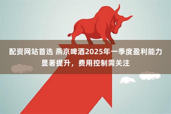 配资网站首选 燕京啤酒2025年一季度盈利能力显著提升，费用控制需关注