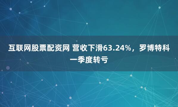 互联网股票配资网 营收下滑63.24%，罗博特科一季度转亏