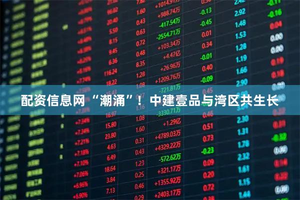 配资信息网 “潮涌”！中建壹品与湾区共生长