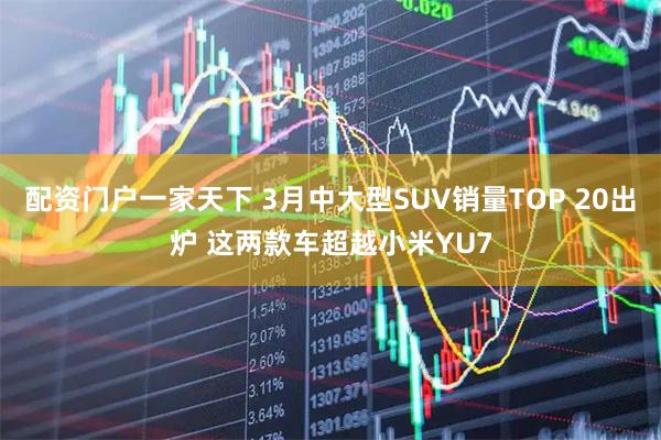 配资门户一家天下 3月中大型SUV销量TOP 20出炉 这两款车超越小米YU7