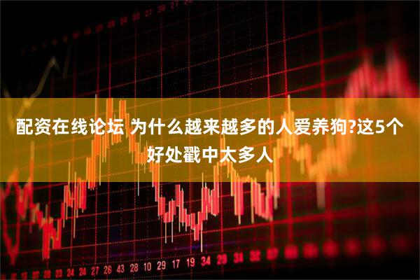 配资在线论坛 为什么越来越多的人爱养狗?这5个好处戳中太多人
