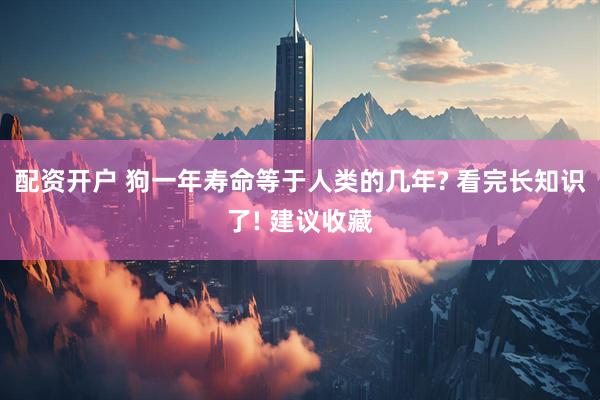 配资开户 狗一年寿命等于人类的几年? 看完长知识了! 建议收藏